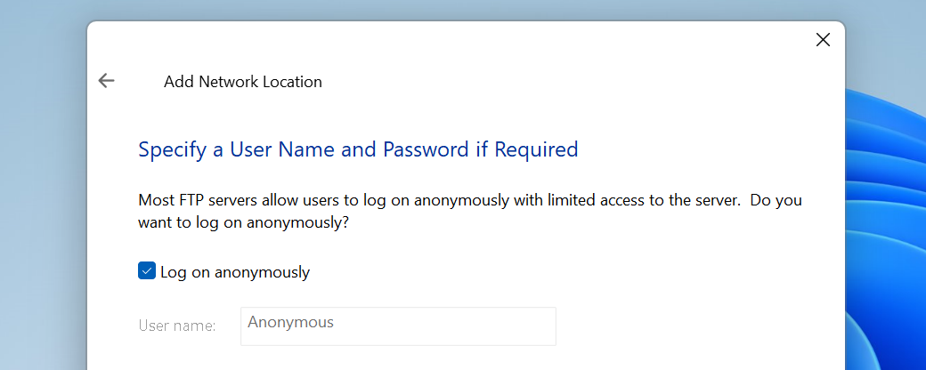Ввод имени пользователя в мастере