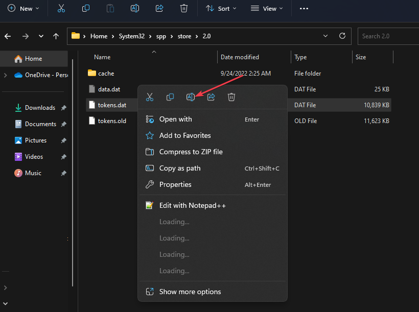 Контекстное меню файла tokens.dat — Переименовать