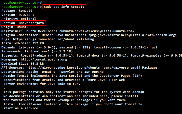 информация о пакете tomcat9