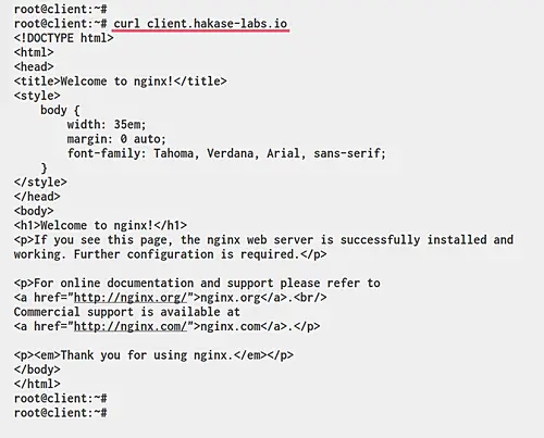 Результат curl: HTML‑ответ nginx с заголовком по умолчанию