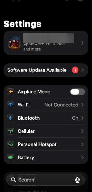 iPhone: имя пользователя в Настройках