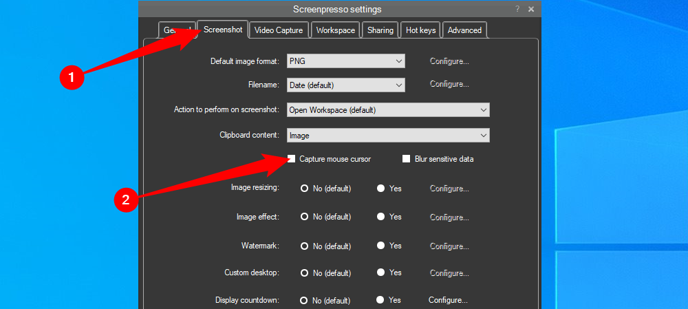Вкладка Screenshot в Screenpresso с включённой опцией Capture Mouse Cursor