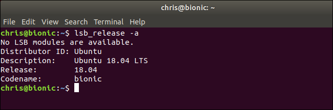 Терминал: пример вывода команды lsb_release -a с описанием версии Ubuntu