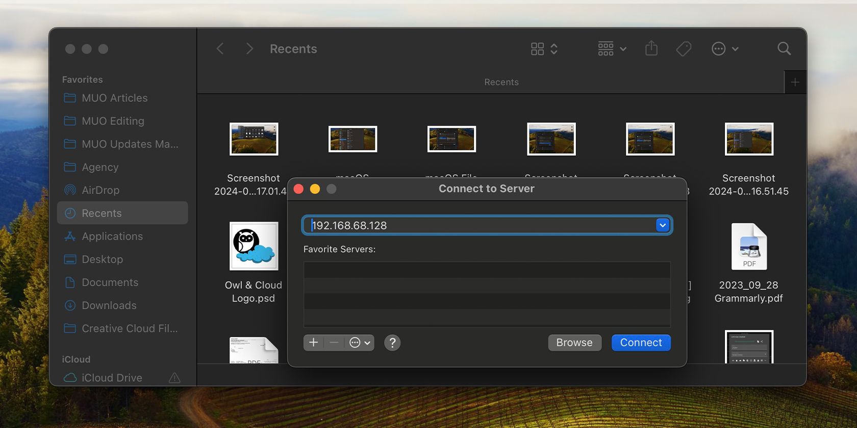 Ввод IP‑адреса сервера в окне Подключиться к серверу macOS