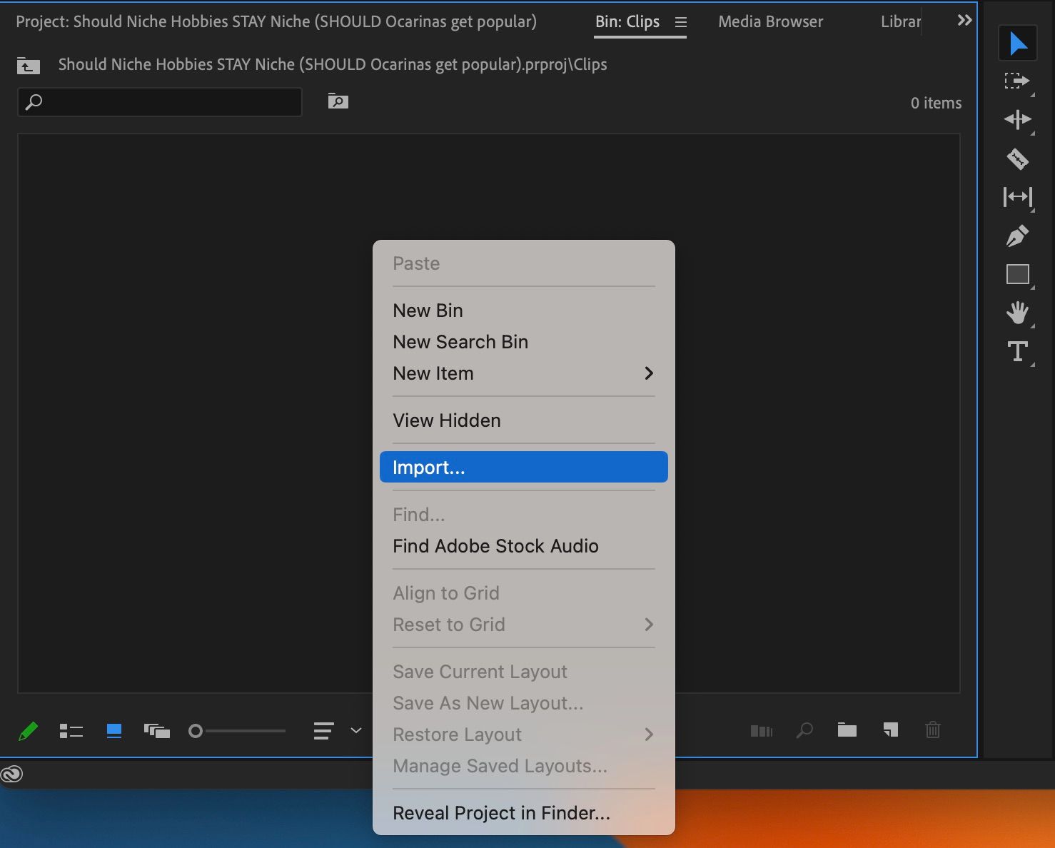 Контекстное меню для импорта файла в Premiere Pro внутри отдельного bина