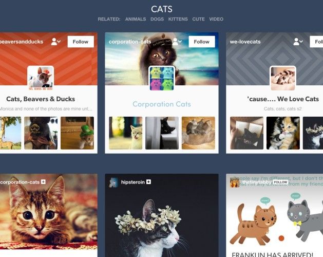 описательное изображение: коллаж с GIF и забавными котами