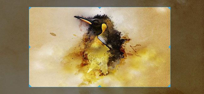 Скриншоты в Linux: GNOME, Spectacle, Shutter, CLI