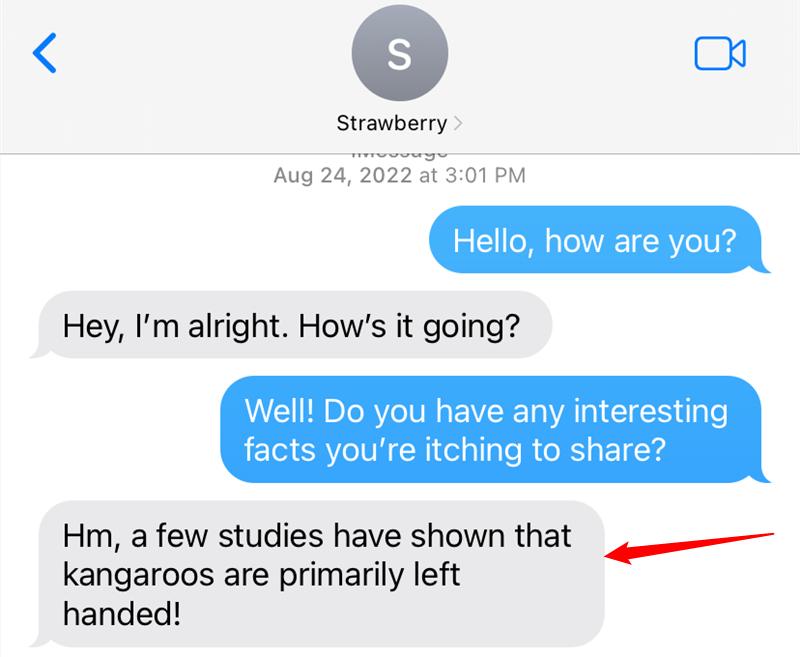 Результат поиска «kangaroo» внутри переписки, показывающий найденное сообщение. 
