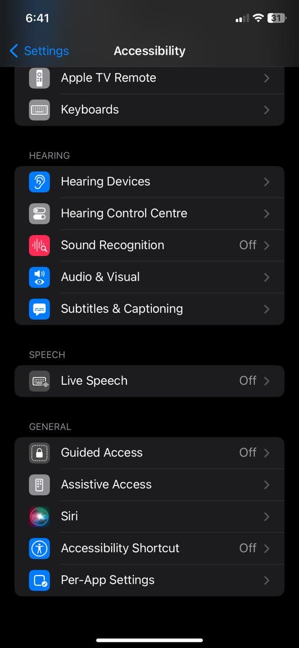 Настройки Универсального доступа iOS 17