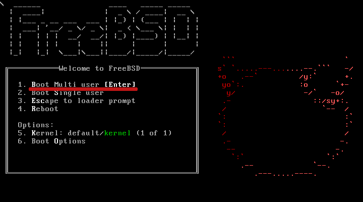 Экран установщика FreeBSD