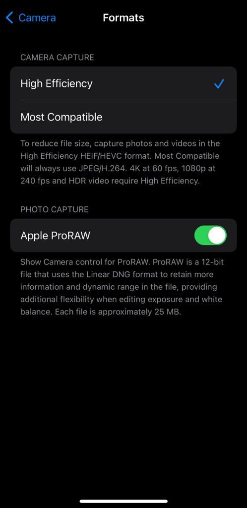 Опция Apple ProRAW в iPhone