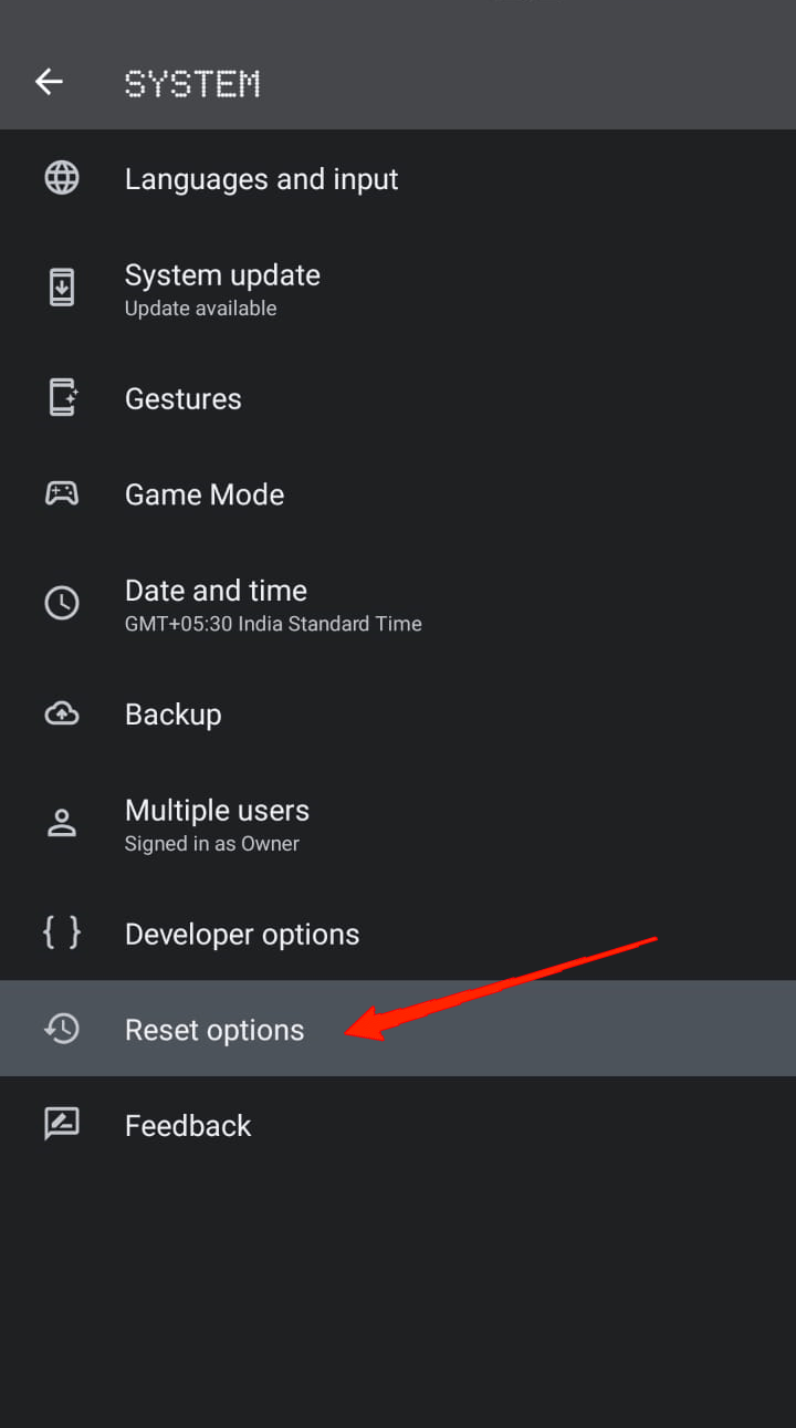 Now, tap on Reset Options