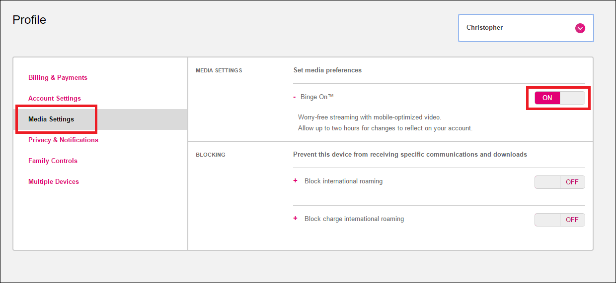 Изображение: медиа‑настройки с переключателем Binge On