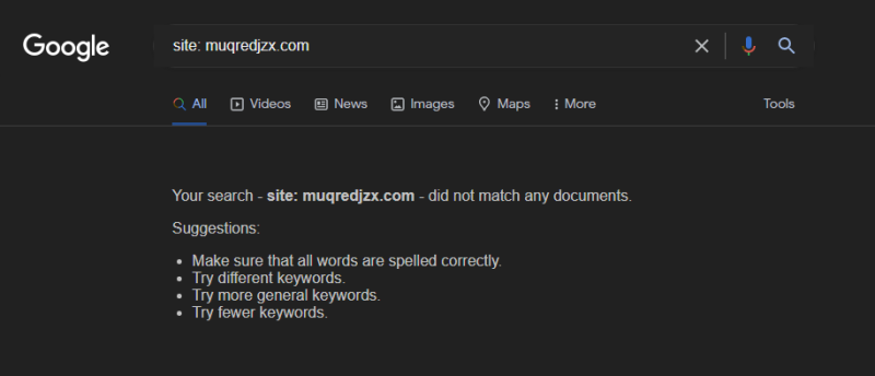 Результаты поиска Google при отсутствии индексации — нет совпадений