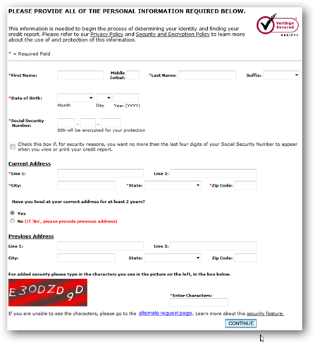 Поле для ввода личной информации при запросе отчёта