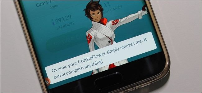 Как вычислить точные IV в Pokémon GO