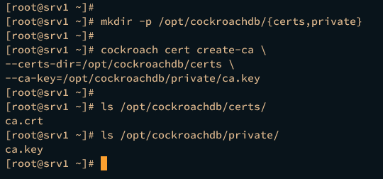 генерация CA