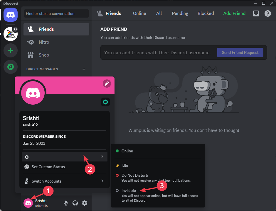 Статус Invisible (вы в офлайне) в Discord