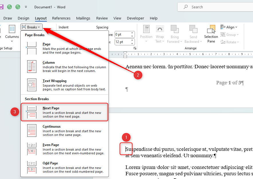 Добавление разрыва секции в середине документа для отделения блока страниц.