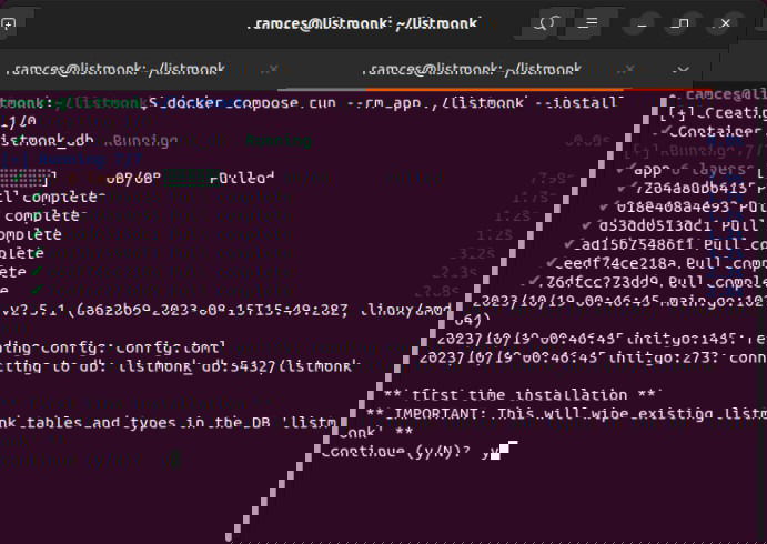 Скриншот терминала с запросом на очистку БД для контейнера Listmonk