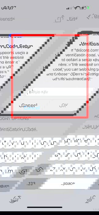 Вставка ключа настройки в iOS Пароли (повторное изображение для наглядности)