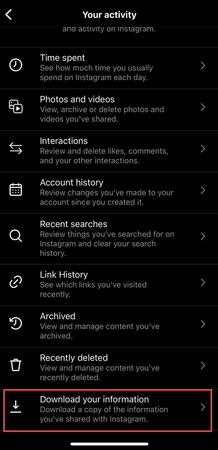 download your information option Instagram