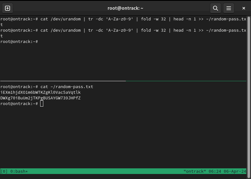 Терминал, показывающий две сгенерированные строки паролей для Ontrack.