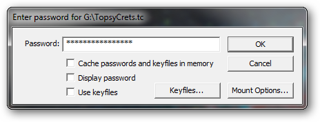 Диалог ввода пароля для монтирования тома