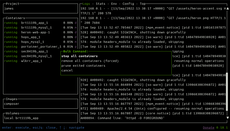 Меню массовых действий Lazydocker