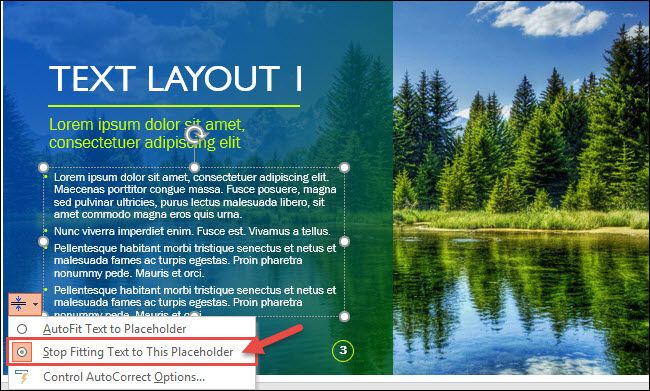 Опция для отключения автоподбора текста в текущем заполнителе