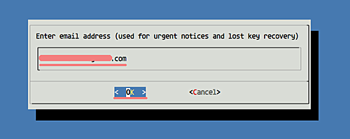 Ввод Email для сертификата
