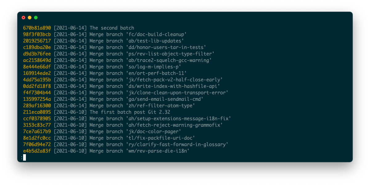 Скриншот терминала с результатом git log с кастомным форматом