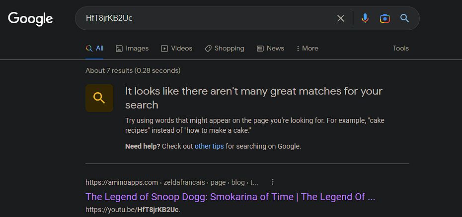 Результаты поиска Google по ID видео