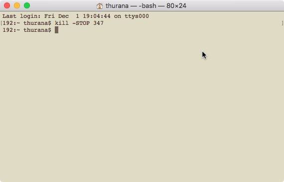 Приложение Safari помечено как не отвечающее из‑за приостановки процесса