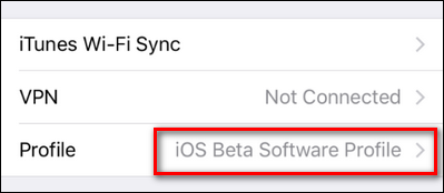 Пункт меню Профиль: iOS Beta Software Profile