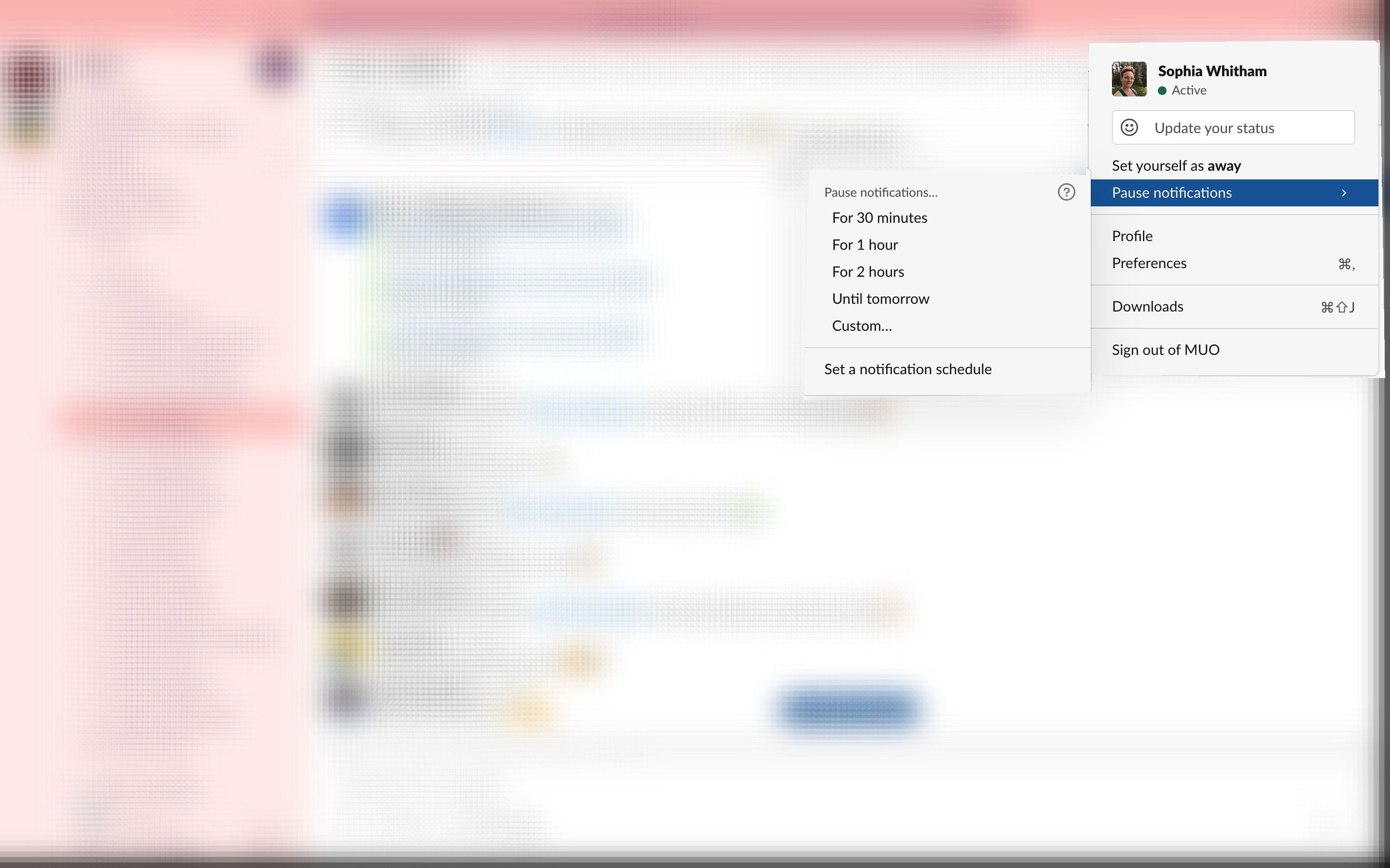 Скриншот: пауза уведомлений Slack (30 минут и другие варианты)