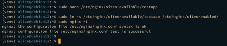 nginx reverse proxy