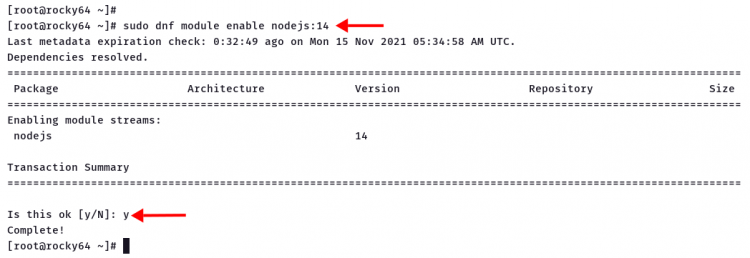 Включение модуля nodejs и проверка версии