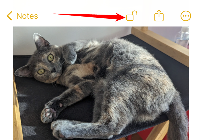 Нажмите иконку замка, чтобы заблокировать заметку.