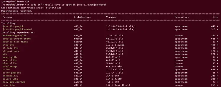 AlmaLinux 9 に Apache Solr 9.2.1 を導入して保護する
