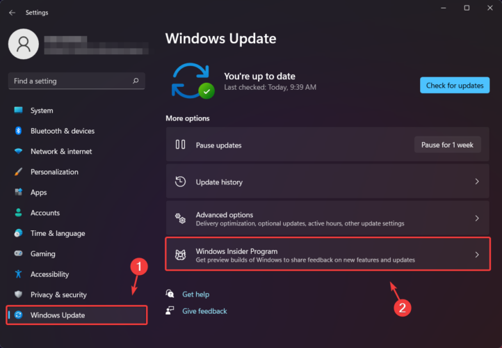windows insider program