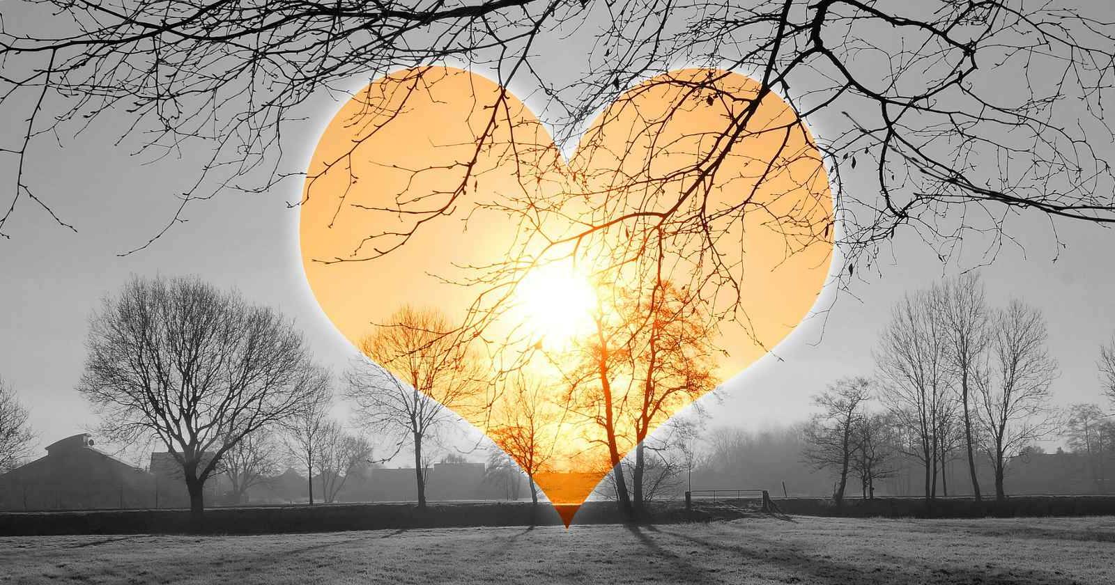 Продуктивность для «сов»: работать и жить во второй половине дня