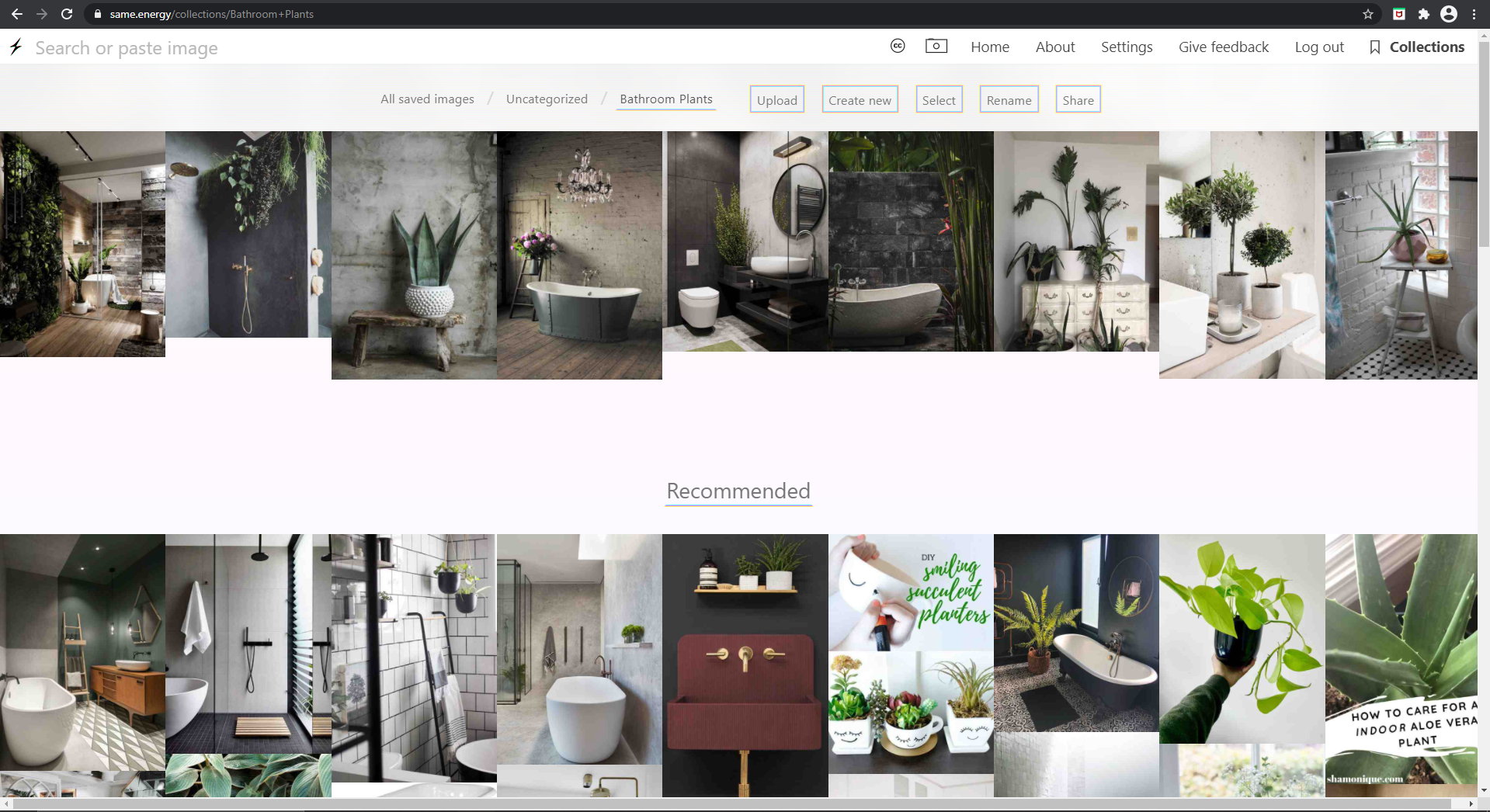 Same Energy Mood Board Collection