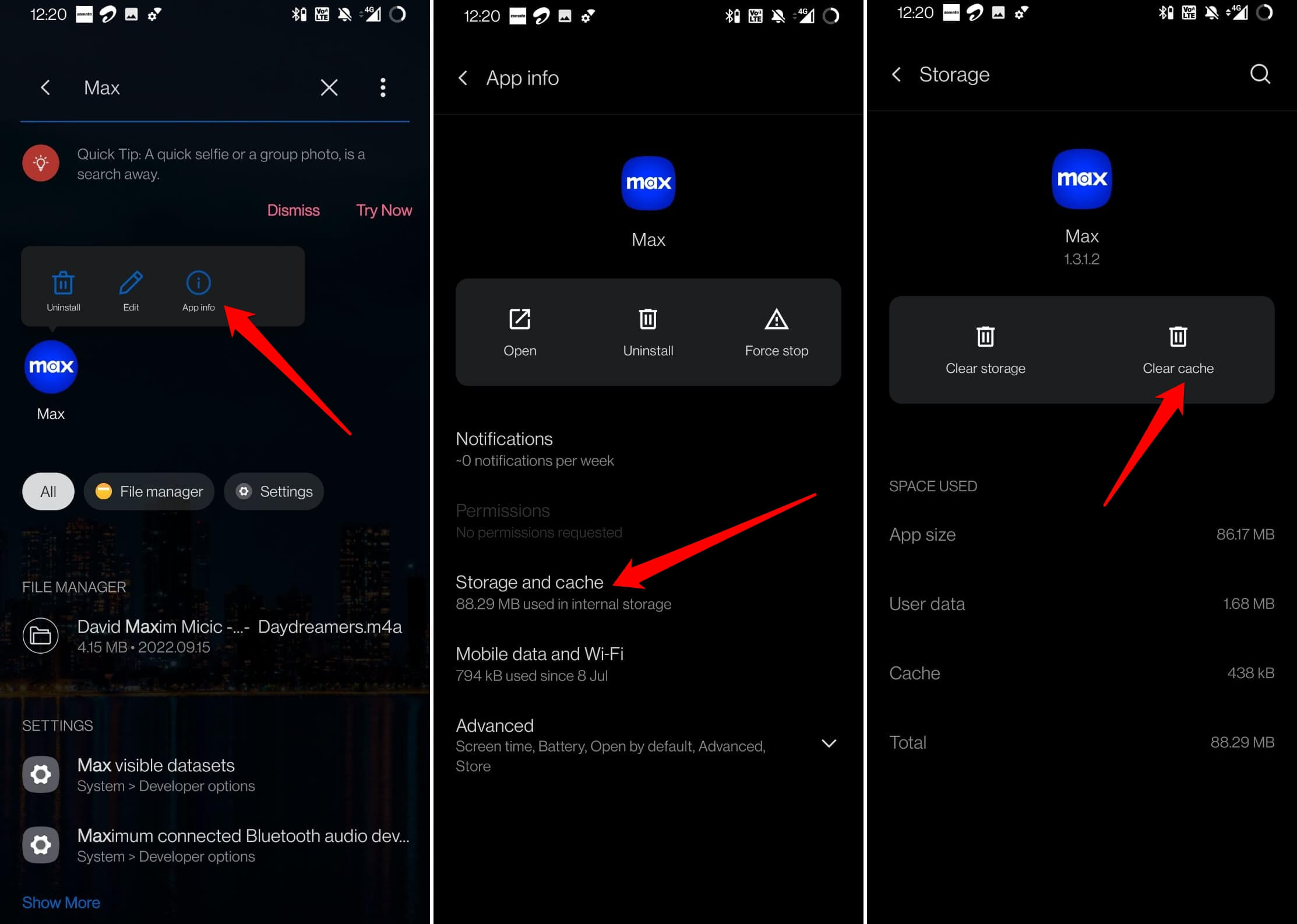clear cache of Max app