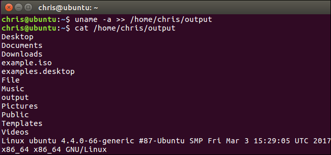 Добавление вывода в конец файла