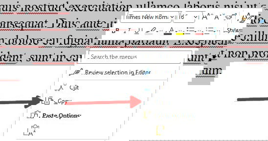 Контекстное меню копирования в Word