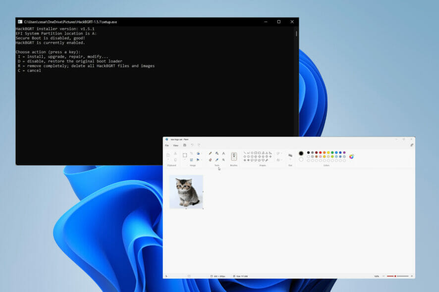 Изменить загрузочный логотип Windows 11