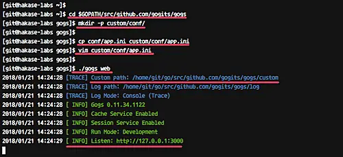 Gogs exécuté avec configuration personnalisée sur 127.0.0.1:3000