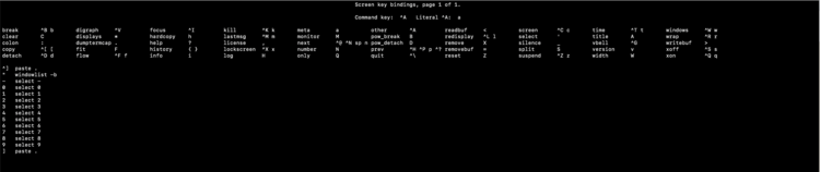 Справка по сочетаниям клавиш внутри screen
