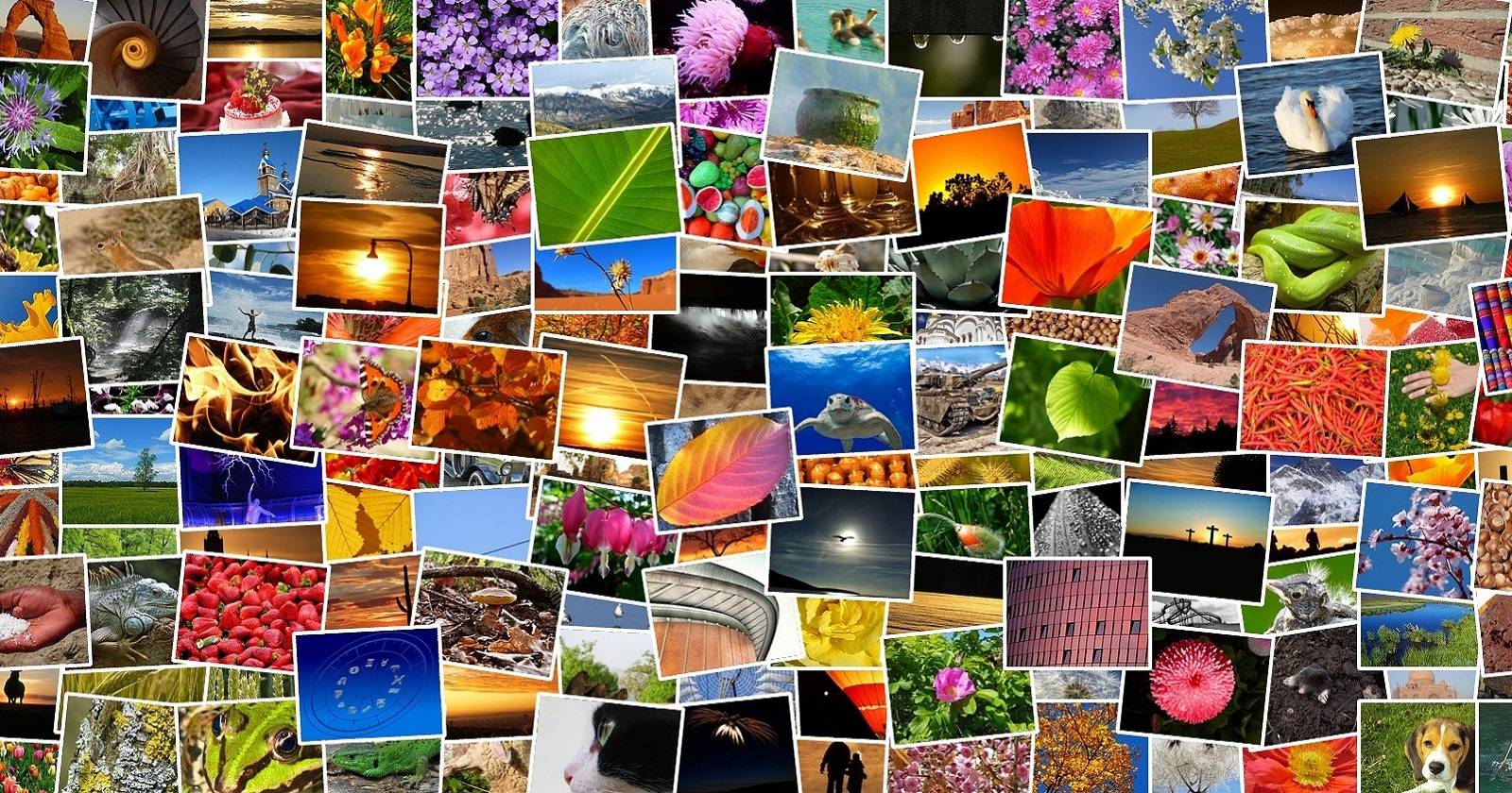 Фото‑коллажи в Windows 11: Collagerator и Canva